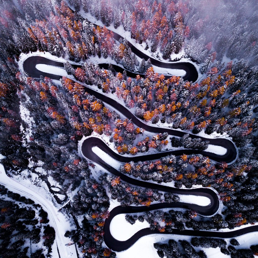 Uncertainty - Nature patterns