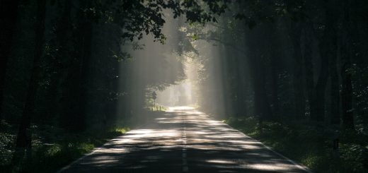 Uncertainty Path