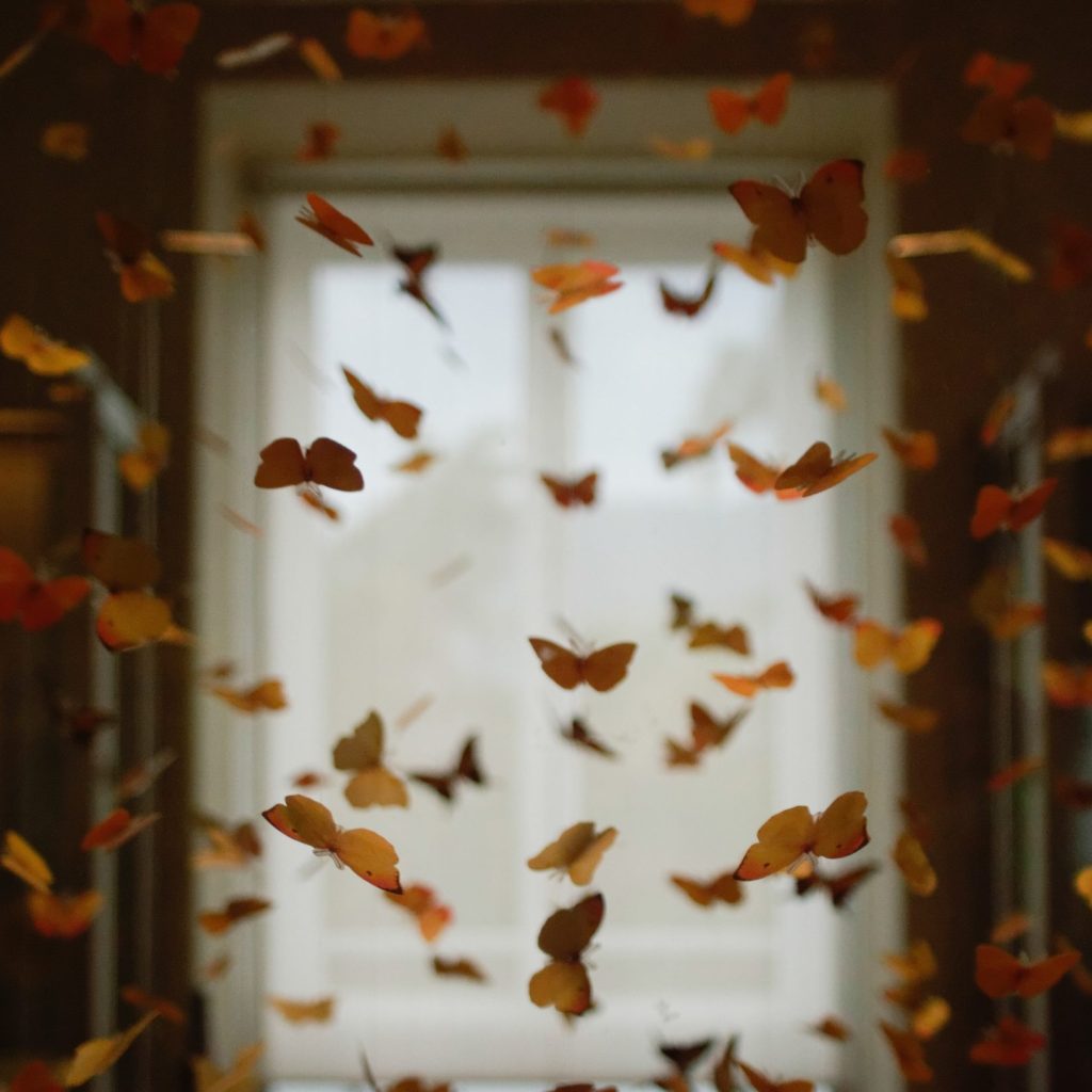 butterfly effect in business
